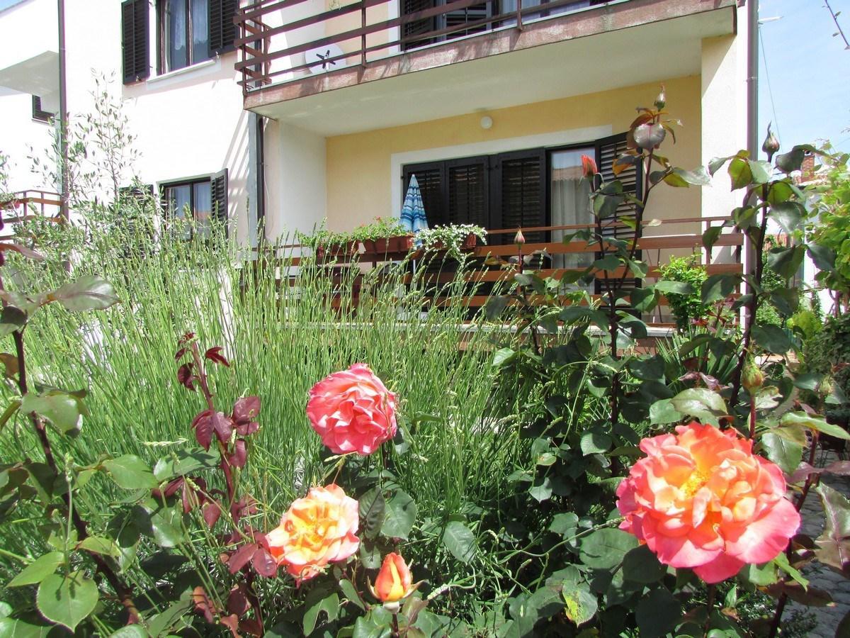أوماغ Mirela House With Apartment المظهر الخارجي الصورة