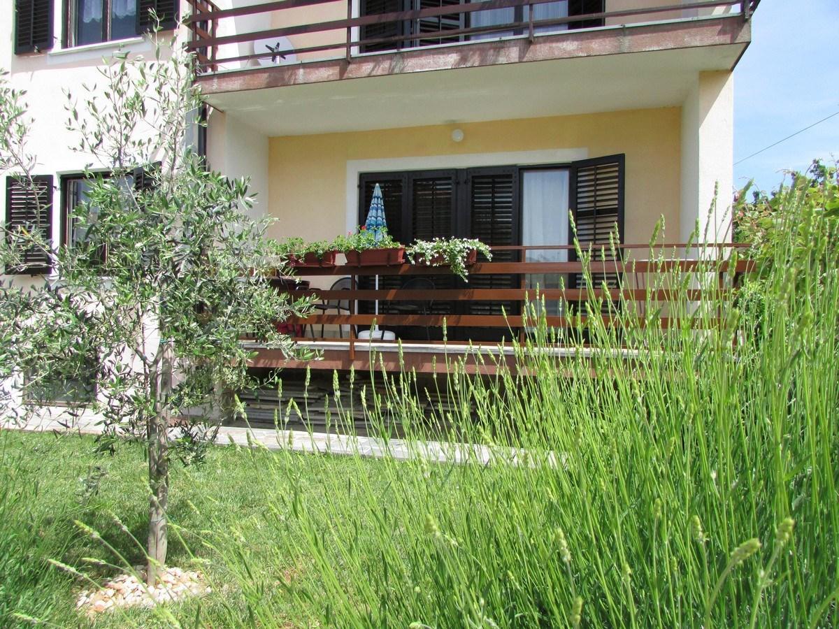 أوماغ Mirela House With Apartment المظهر الخارجي الصورة